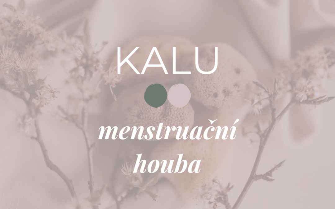Menstruační houby – eko verze tampónů 