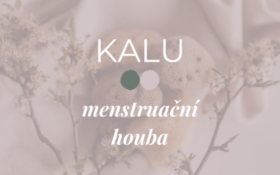 Menstruační houby – eko verze tampónů