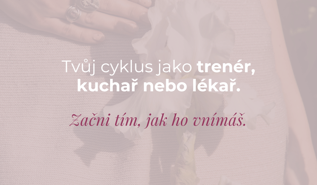 Tvůj cyklus jako trenér, kuchař nebo lékař? Začni u toho, jak ho vnímáš.