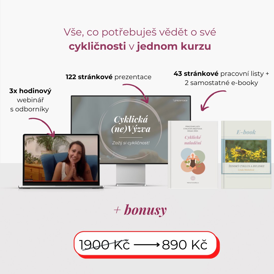 fáze menstruačního cyklu