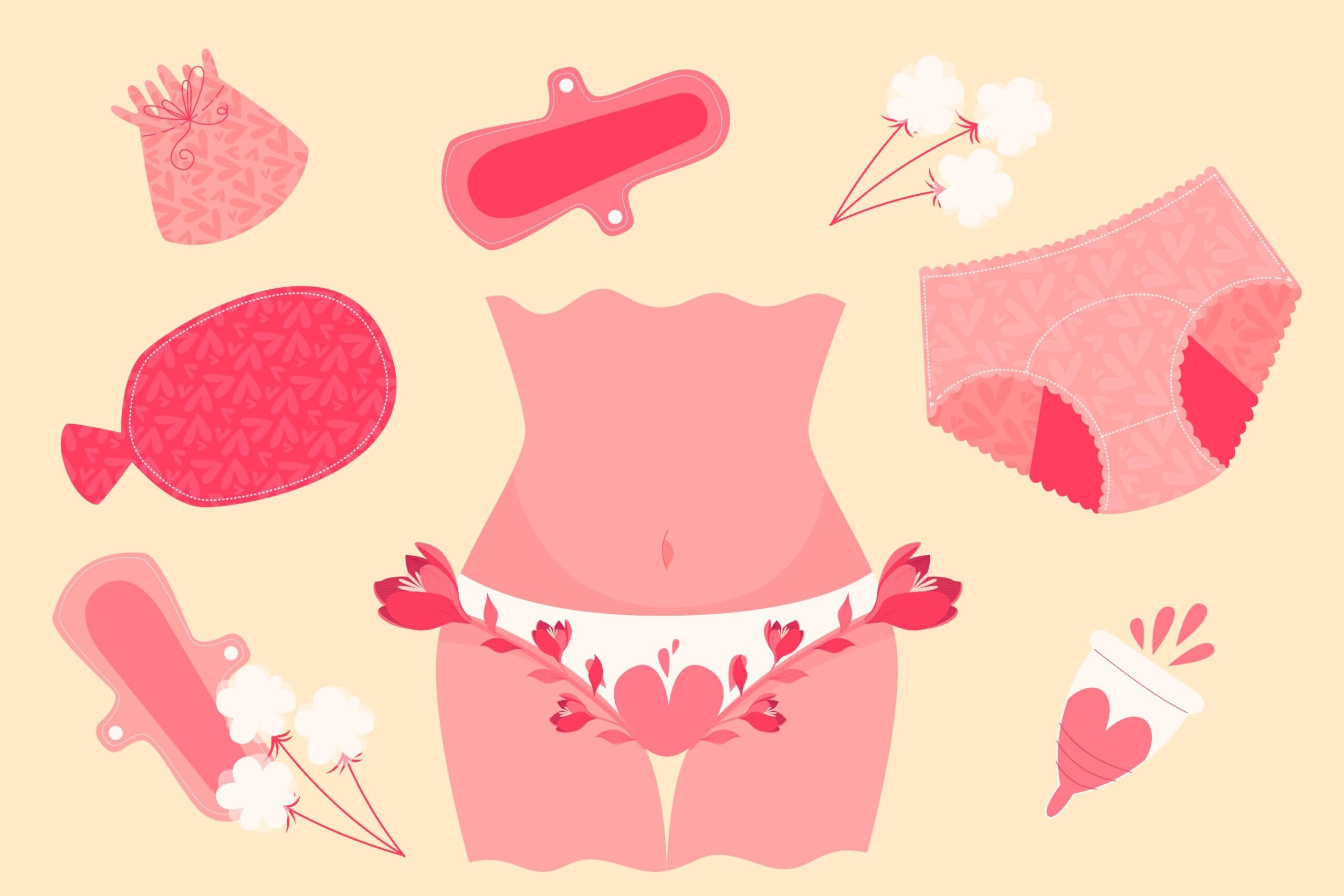 Menstruace. Menstruační cyklus.Menstruaci
