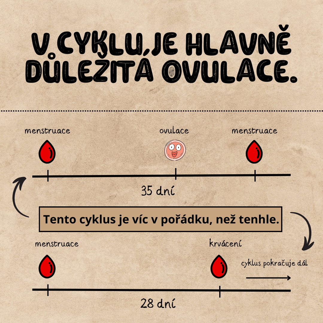 Menstruační cyklus, menstruaci