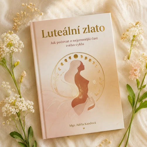 E-book o cyklu o pms, jak pracovat s premenstruační fází